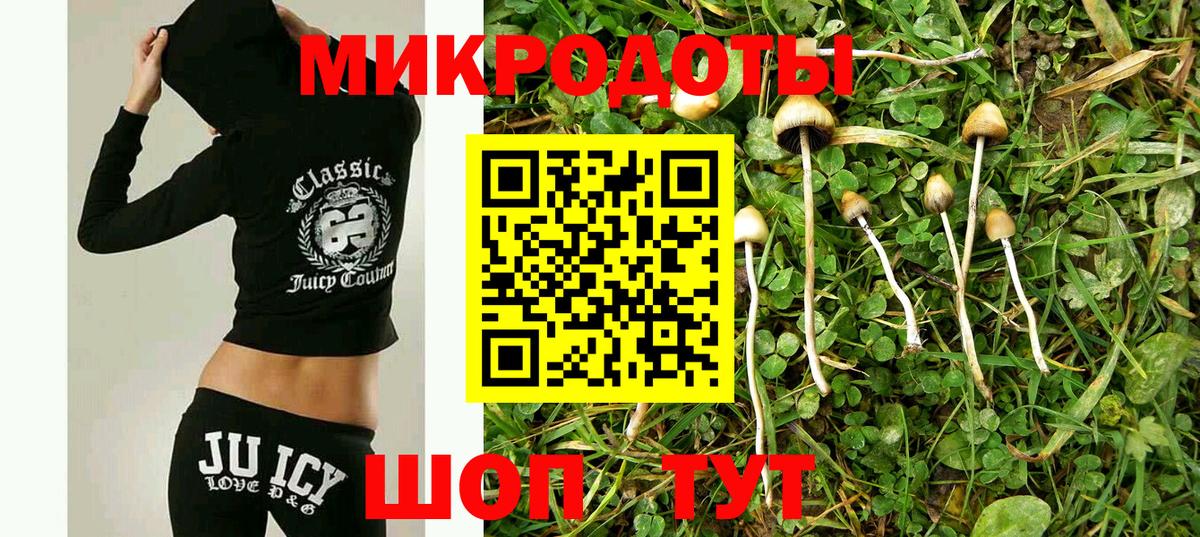 Галлюциногенные грибы мухоморы  Вход с VPN  Удомля 